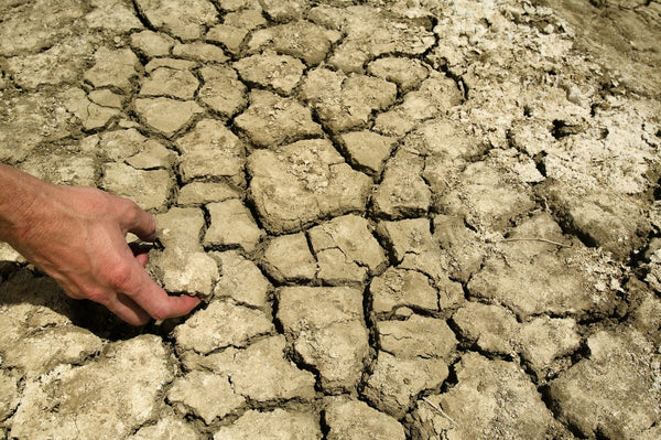 Expansive Clay Soil